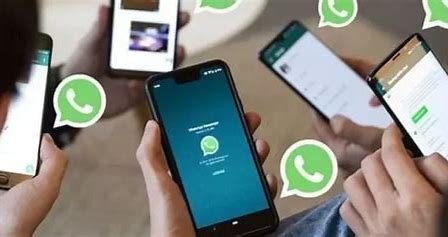📌 WhatsApp Update Allows Sending HD Photos Without Compression 📌 WhatsApp Update Allows Sending HD Photos Without Compression